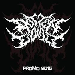 Rotten Vomit : Promo 2015